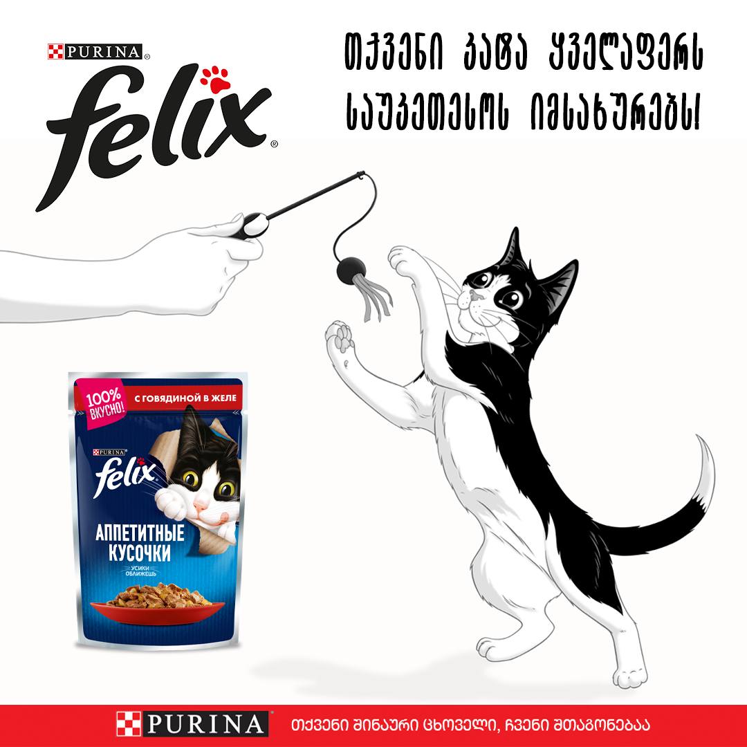 Felix cat jelly